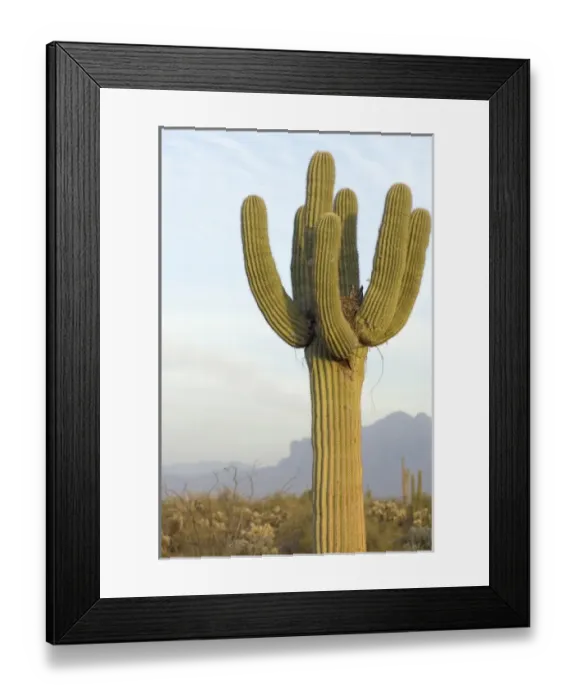 Framed Print : North America, Mexico Framed Print : North America, Mexico