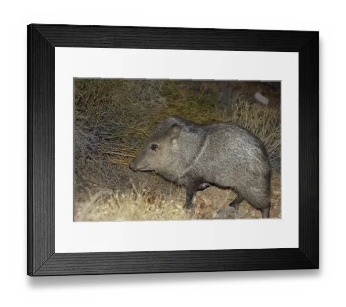 Framed Print : North America, Mexico Framed Print : North America, Mexico