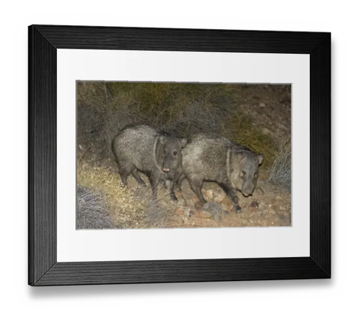 Framed Print : North America, Mexico Framed Print : North America, Mexico
