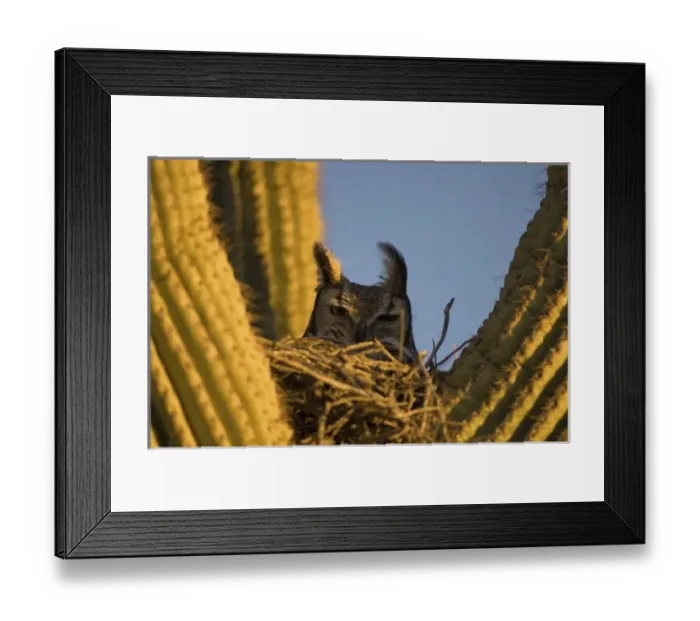 Framed Print : North America, Mexico Framed Print : North America, Mexico
