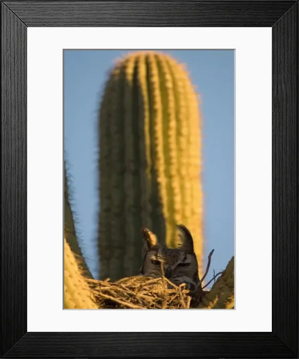 Framed Print : North America, Mexico Framed Print : North America, Mexico