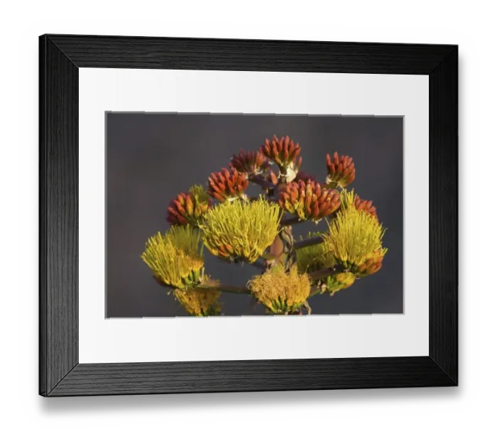 Framed Print : North America, Mexico Framed Print : North America, Mexico