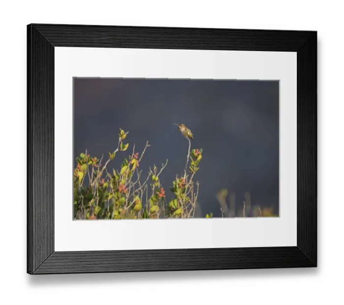 Framed Print : North America, Mexico Framed Print : North America, Mexico