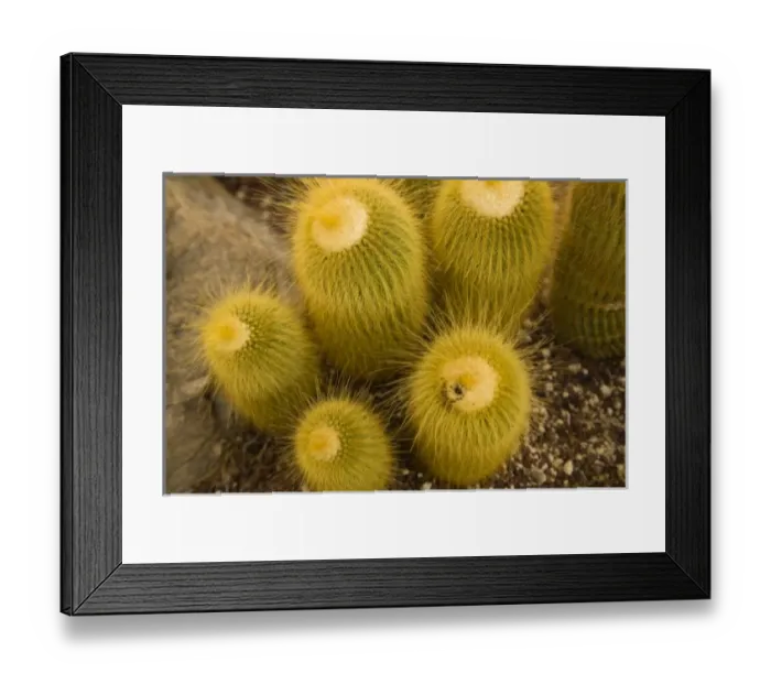 Framed Print : North America, Mexico Framed Print : North America, Mexico