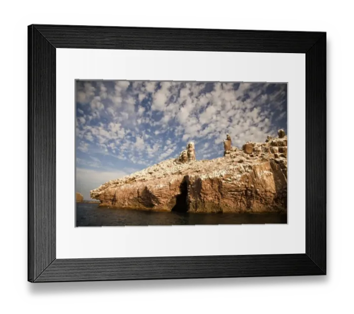 Framed Print : Los Islotes Marine Preserve next to Espiritu Santo Island, near La Paz, Baja California Framed Print : Los Islotes Marine Preserve next to Espiritu Santo Island, near La Paz, Baja California