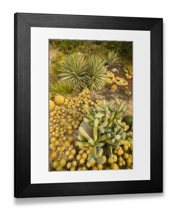 Framed Print : North America, Mexico Framed Print : North America, Mexico
