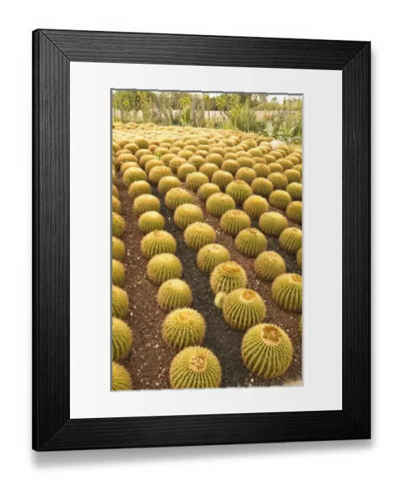 Framed Print : North America, Mexico Framed Print : North America, Mexico