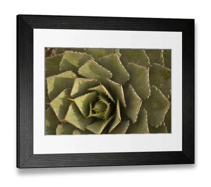 Framed Print : North America, Mexico