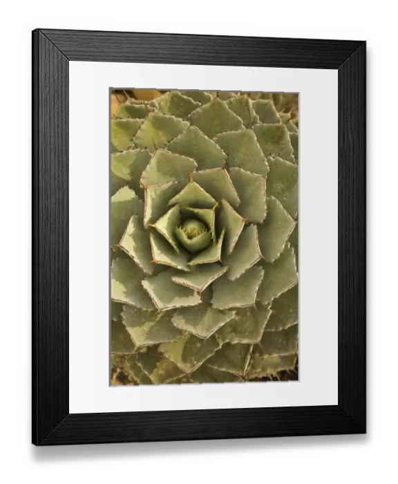 Framed Print : North America, Mexico Framed Print : North America, Mexico