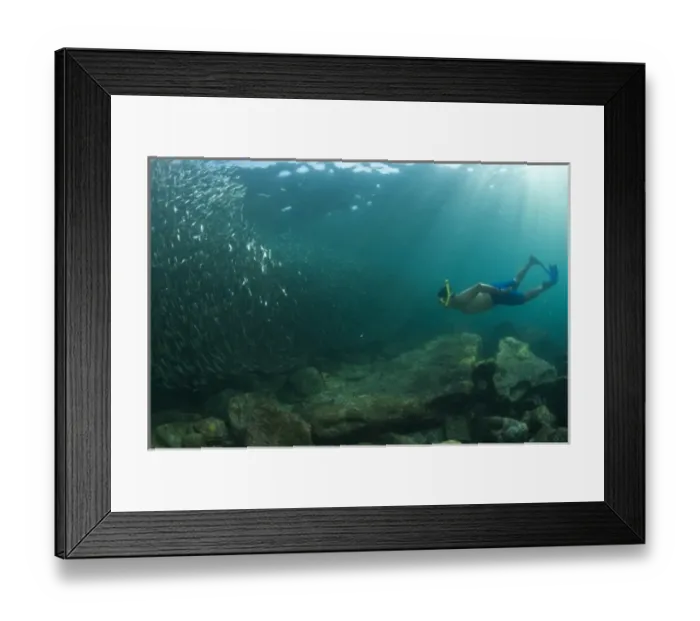 Framed Print : Snorkelers, Los Islotes Marine Preserve, Espiritu Santo Island, near La Paz, area Framed Print : Snorkelers, Los Islotes Marine Preserve, Espiritu Santo Island, near La Paz, area