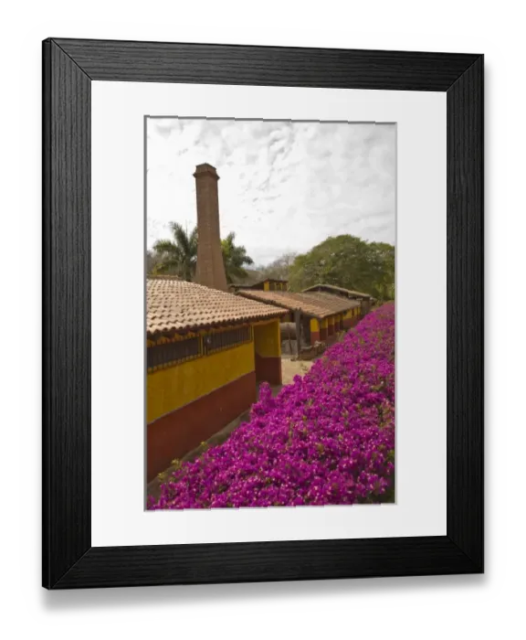 Framed Print : Los Osuna, Tequila Farm & Distillery (since 1876) La Noria near Mazatlan, Sinaloa State Framed Print : Los Osuna, Tequila Farm & Distillery (since 1876) La Noria near Mazatlan, Sinaloa State