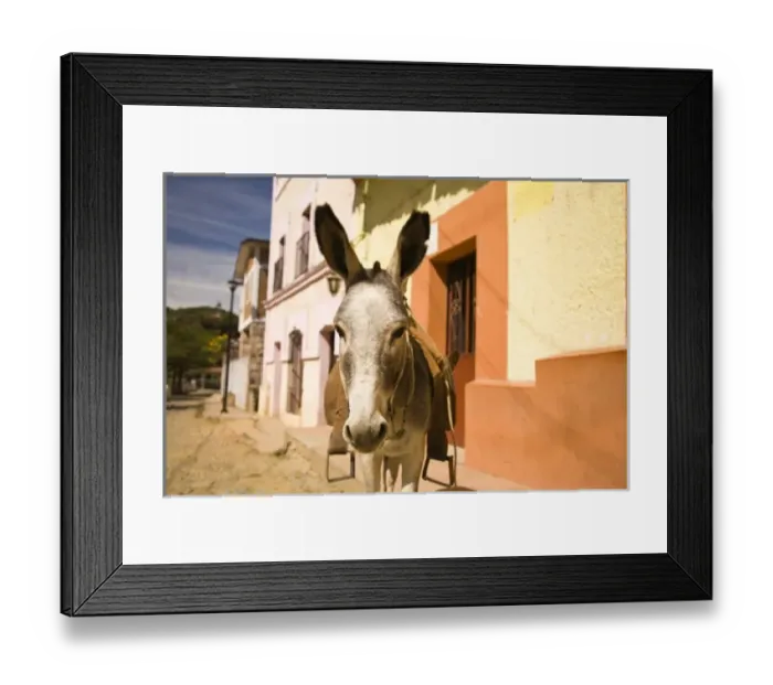 Framed Print : North America, Mexico Framed Print : North America, Mexico