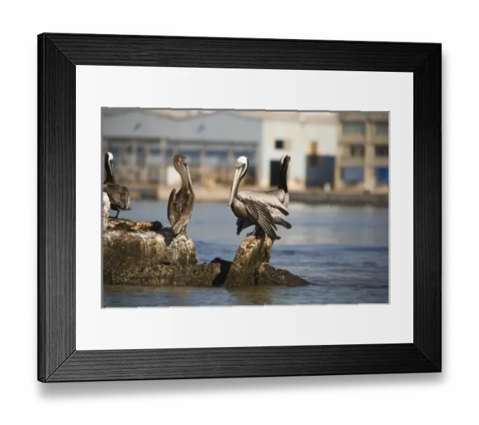 Framed Print : North America, Mexico Framed Print : North America, Mexico