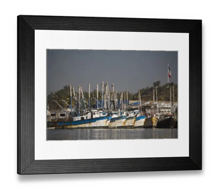 Framed Print : Shrimp Boats, largest fleet in Mazatlan, Sinaloa State, Mexico Framed Print : Shrimp Boats, largest fleet in Mazatlan, Sinaloa State, Mexico