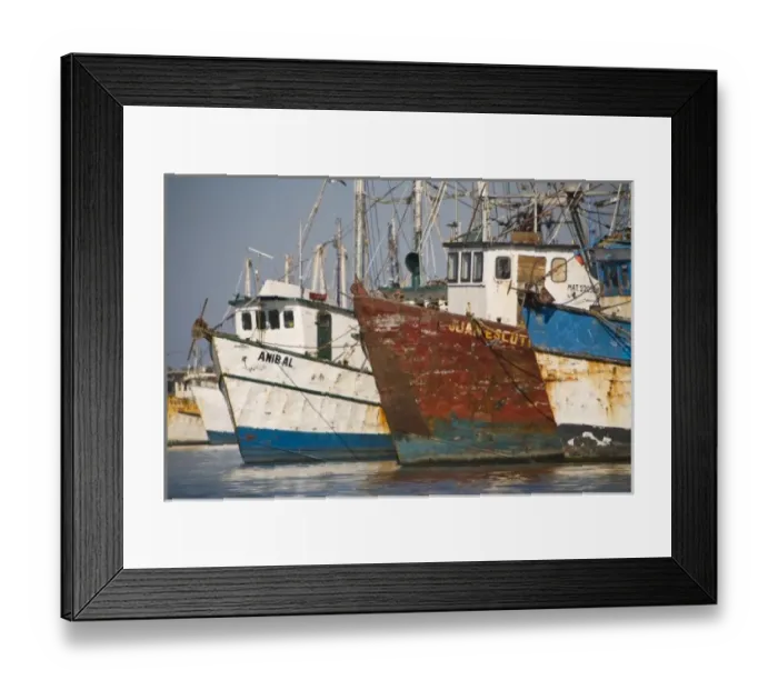 Framed Print : Shrimp Boats, largest fleet in Mazatlan, Sinaloa State, Mexico Framed Print : Shrimp Boats, largest fleet in Mazatlan, Sinaloa State, Mexico