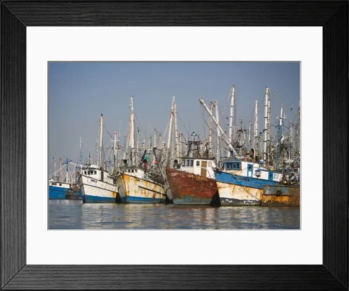 Framed Print : Shrimp Boats, largest fleet in Mazatlan, Sinaloa State, Mexico Framed Print : Shrimp Boats, largest fleet in Mazatlan, Sinaloa State, Mexico
