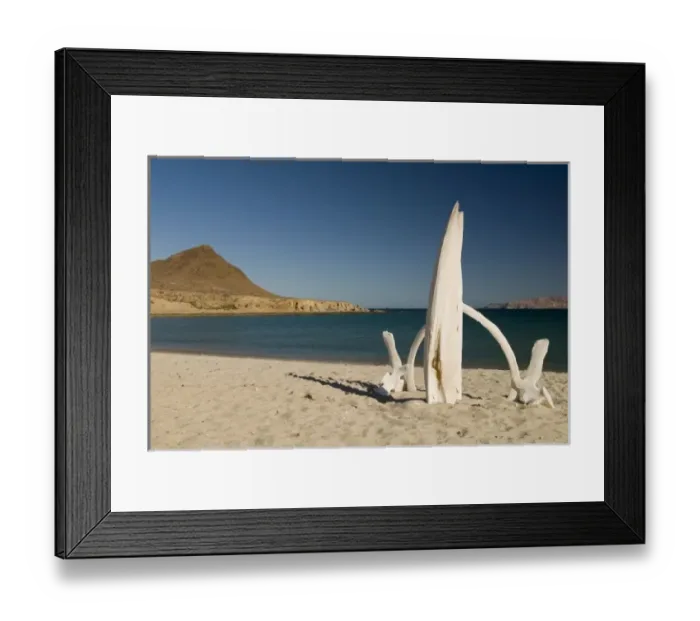 Framed Print : Mexico, Baja California, Midriff Islands, Bahia de las Animas (Bay of the Spirits) Framed Print : Mexico, Baja California, Midriff Islands, Bahia de las Animas (Bay of the Spirits)