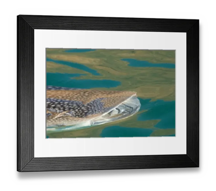 Framed Print : North America, Mexico Framed Print : North America, Mexico