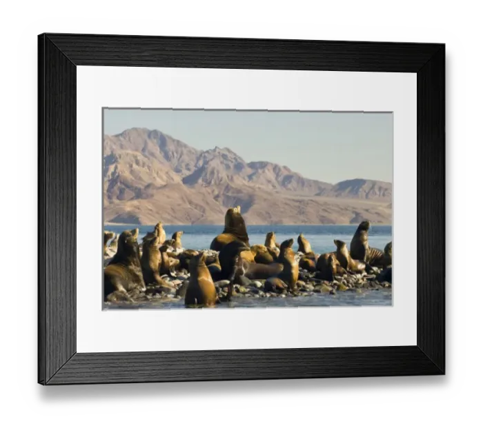 Framed Print : North America, Mexico