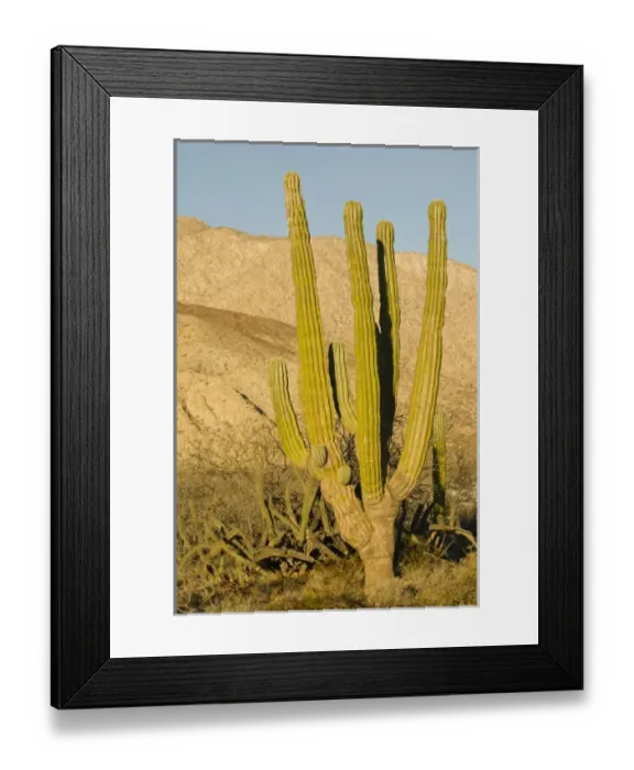 Framed Print : North America, Mexico Framed Print : North America, Mexico