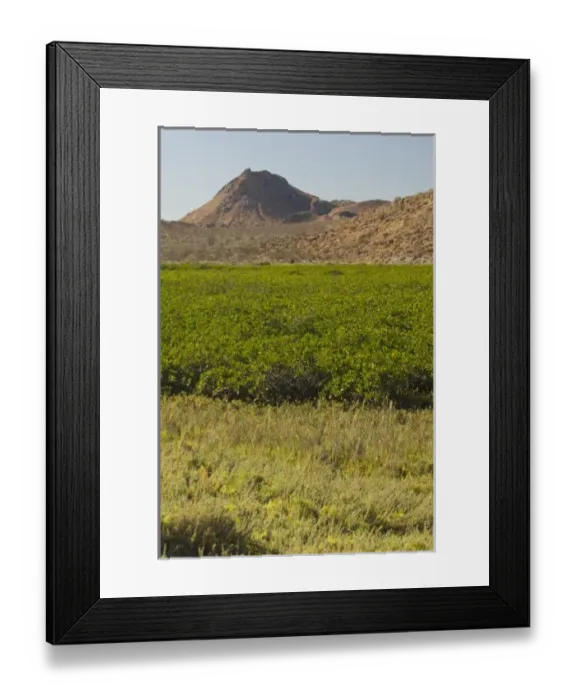 Framed Print : North America, Mexico Framed Print : North America, Mexico