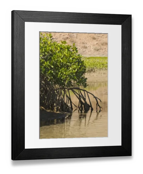 Framed Print : North America, Mexico