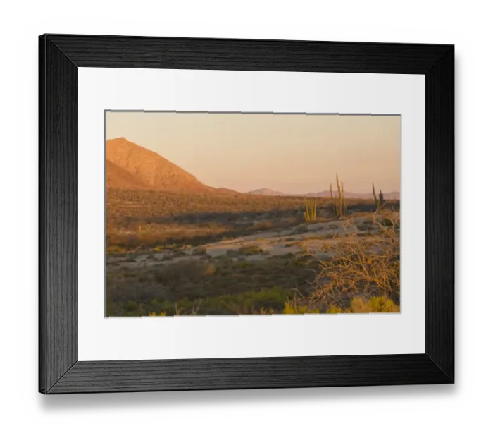 Framed Print : Mexico, Baja California, Bahia de las Animas. Pre dawn desert scenic Framed Print : Mexico, Baja California, Bahia de las Animas. Pre dawn desert scenic