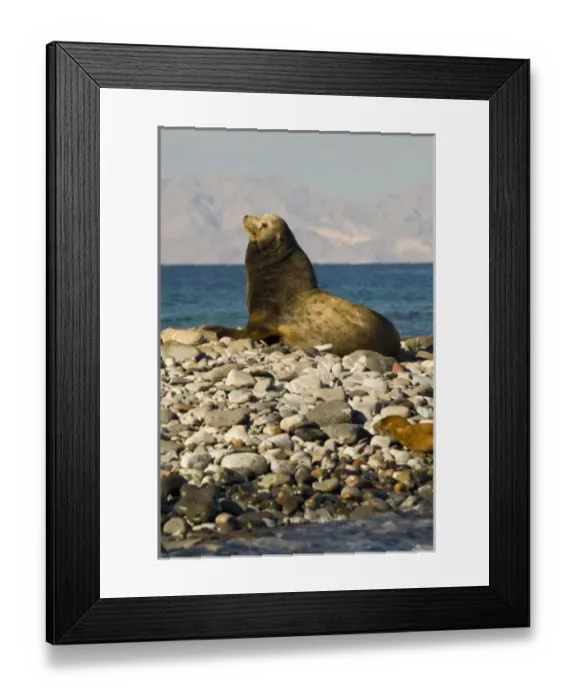 Framed Print : North America, Mexico Framed Print : North America, Mexico