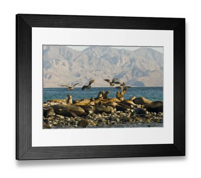 Framed Print : North America, Mexico Framed Print : North America, Mexico