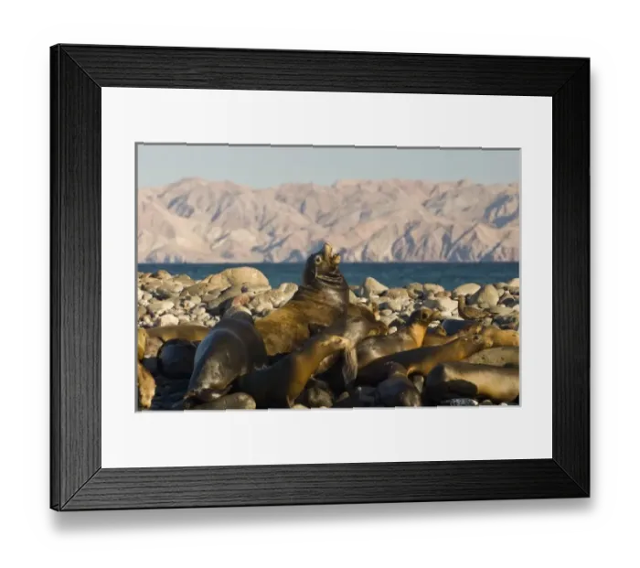 Framed Print : North America, Mexico Framed Print : North America, Mexico