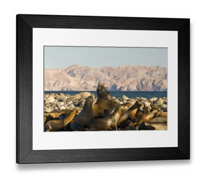 Framed Print : North America, Mexico Framed Print : North America, Mexico