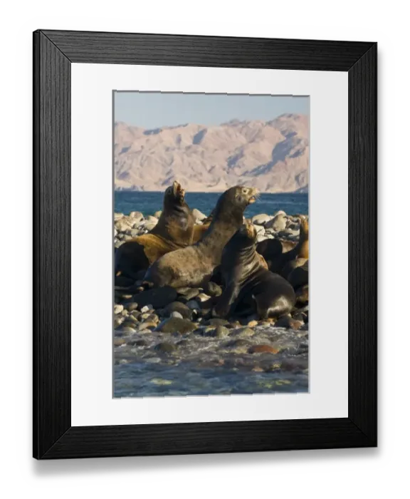 Framed Print : North America, Mexico Framed Print : North America, Mexico