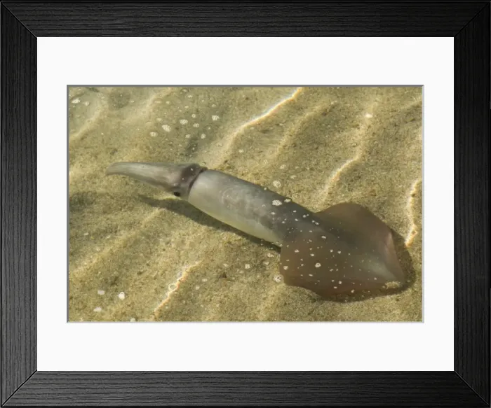 Framed Print : North America, Mexico Framed Print : North America, Mexico
