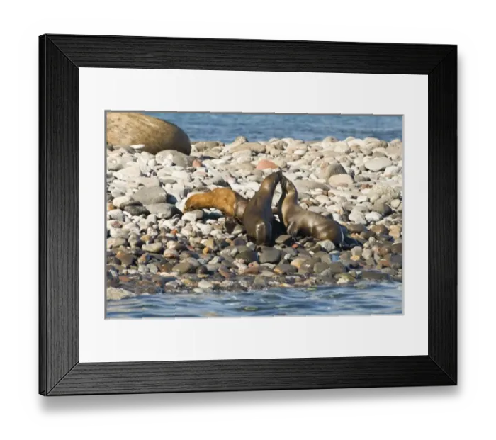 Framed Print : North America, Mexico Framed Print : North America, Mexico
