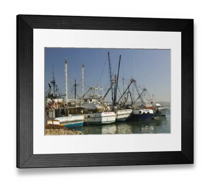 Framed Print : Mexico, Sinaloa State, Mazatlan. Mazatlan Fishing Port- Fishing Fleet Framed Print : Mexico, Sinaloa State, Mazatlan. Mazatlan Fishing Port- Fishing Fleet