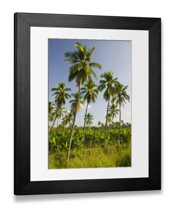 Framed Print : North America, Mexico Framed Print : North America, Mexico