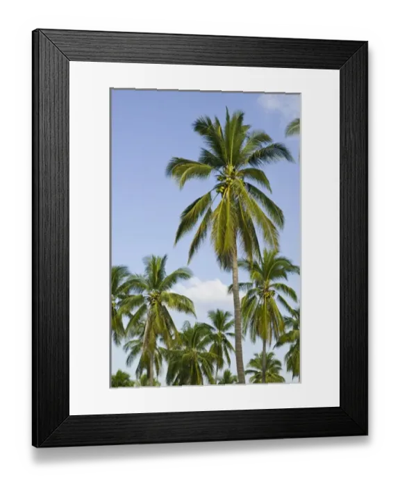 Framed Print : North America, Mexico Framed Print : North America, Mexico