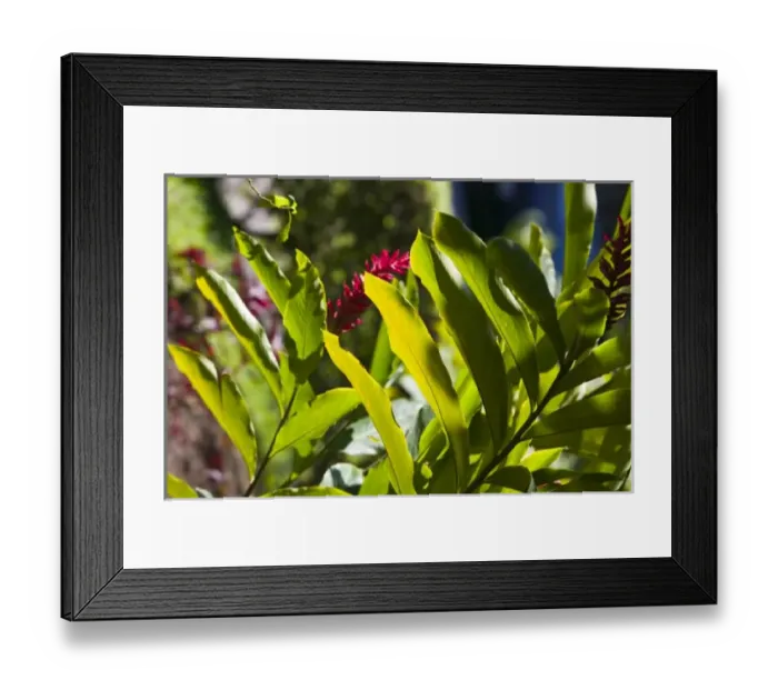 Framed Print : North America, Mexico Framed Print : North America, Mexico