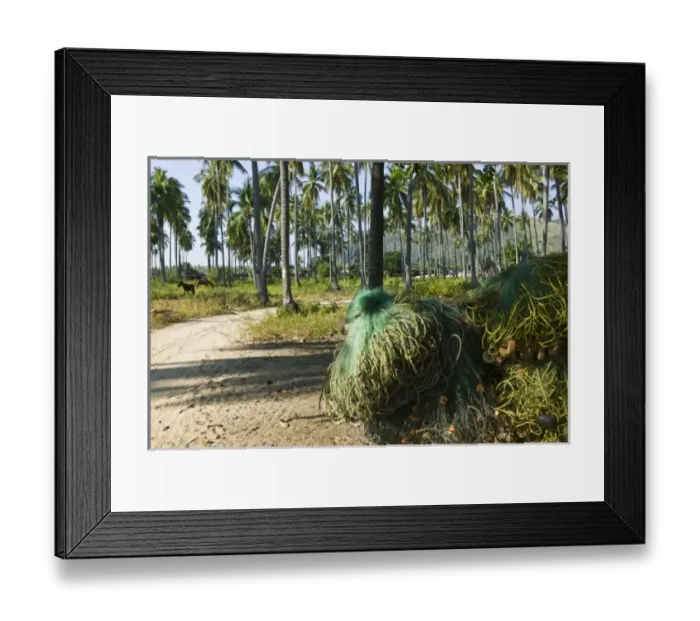 Framed Print : North America, Mexico