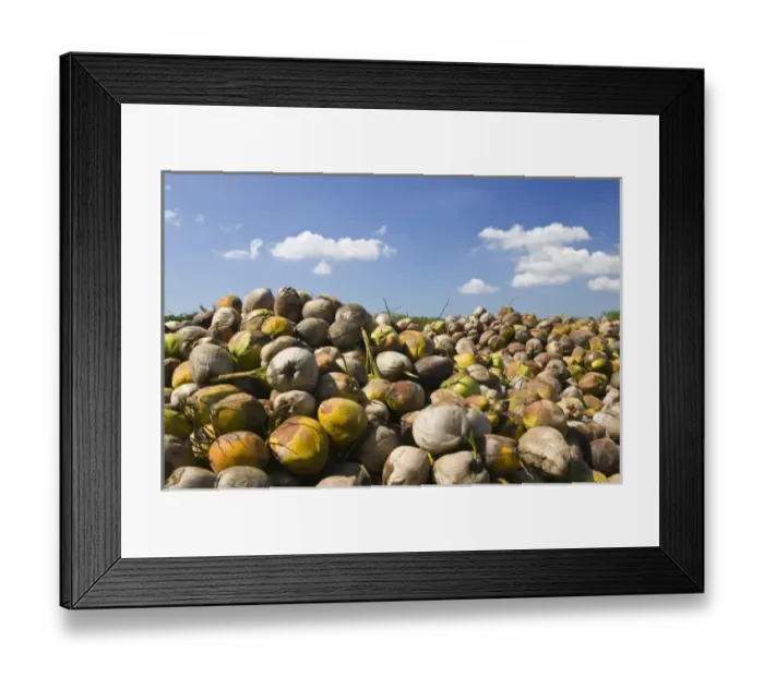 Framed Print : North America, Mexico Framed Print : North America, Mexico