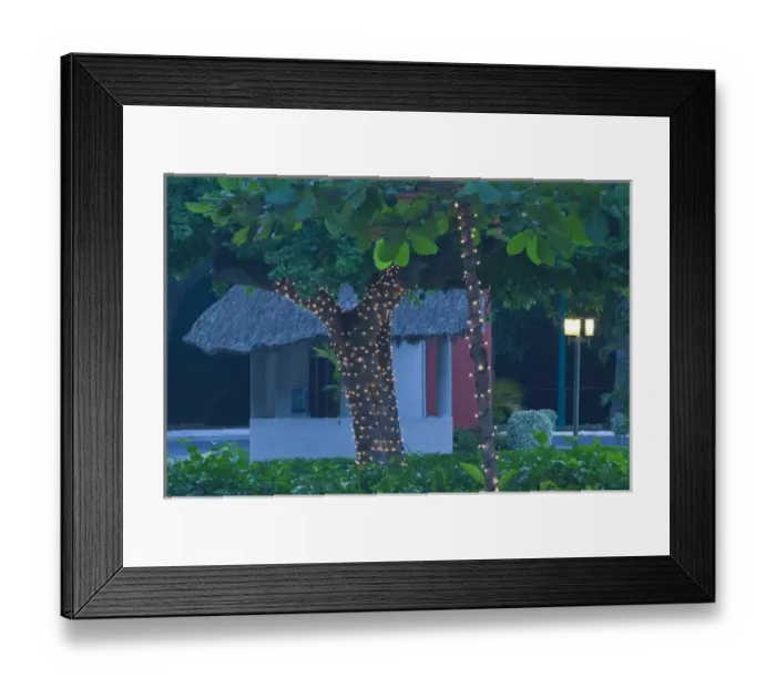 Framed Print : Mexico, Guerrero, Ixtapa. Hotel Palm with Lights / Dawn Framed Print : Mexico, Guerrero, Ixtapa. Hotel Palm with Lights / Dawn