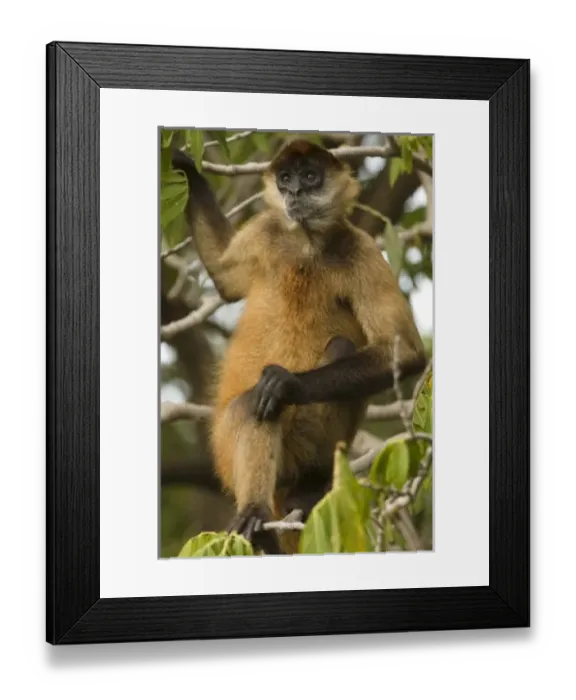 Framed Print : Central America, Nicaragua Framed Print : Central America, Nicaragua