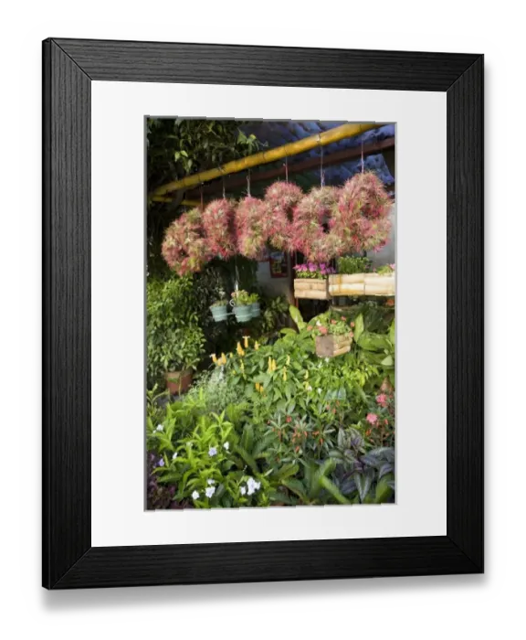 Framed Print : Central America, Nicaragua Framed Print : Central America, Nicaragua