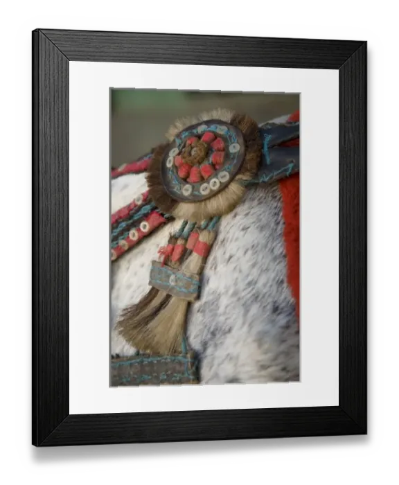 Framed Print : Nicaragua, Catarina. Detail of colorful girth on horse