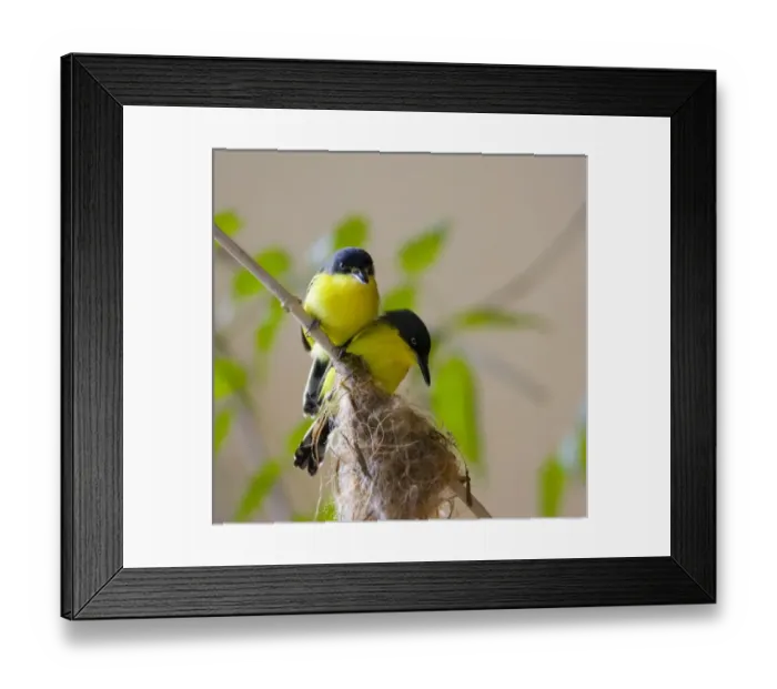 Framed Print : Central America, Panama