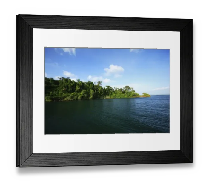 Framed Print : Panama, Panama Canal, tropical forest along the edges of the Panama Canal Framed Print : Panama, Panama Canal, tropical forest along the edges of the Panama Canal