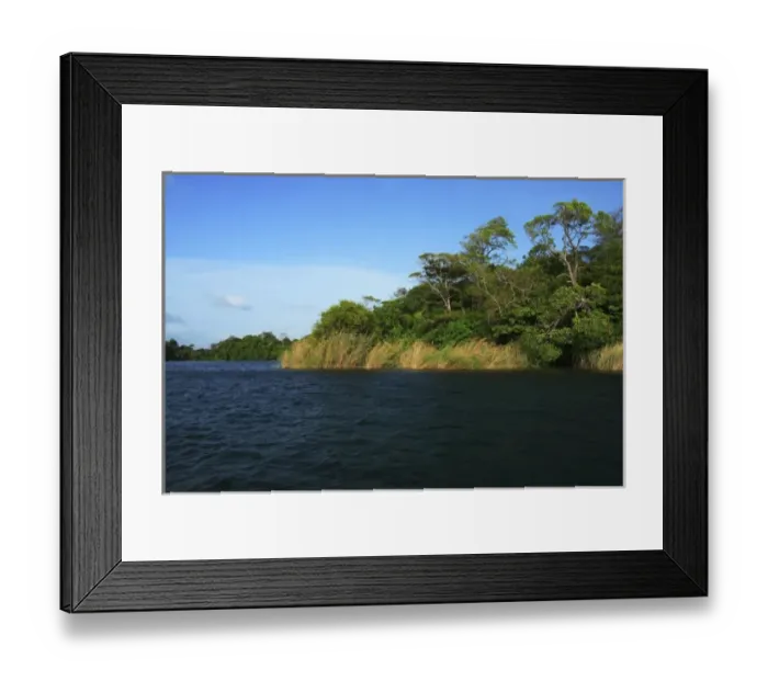 Framed Print : Panama, Panama Canal, tropical forest along the edges of the Panama Canal