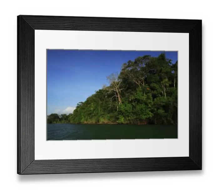 Framed Print : Panama, Panama Canal, tropical forest along the edges of the Panama Canal