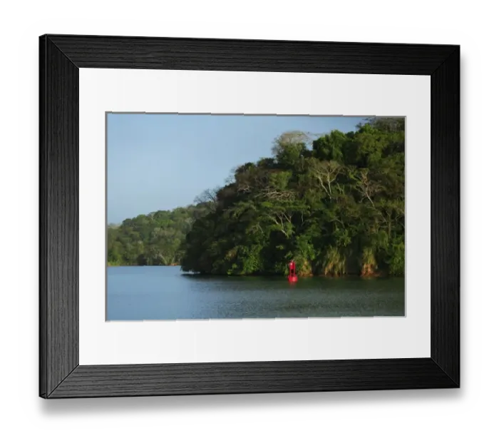 Framed Print : Panama, Panama Canal, tropical forest along the edges of the Panama Canal Framed Print : Panama, Panama Canal, tropical forest along the edges of the Panama Canal