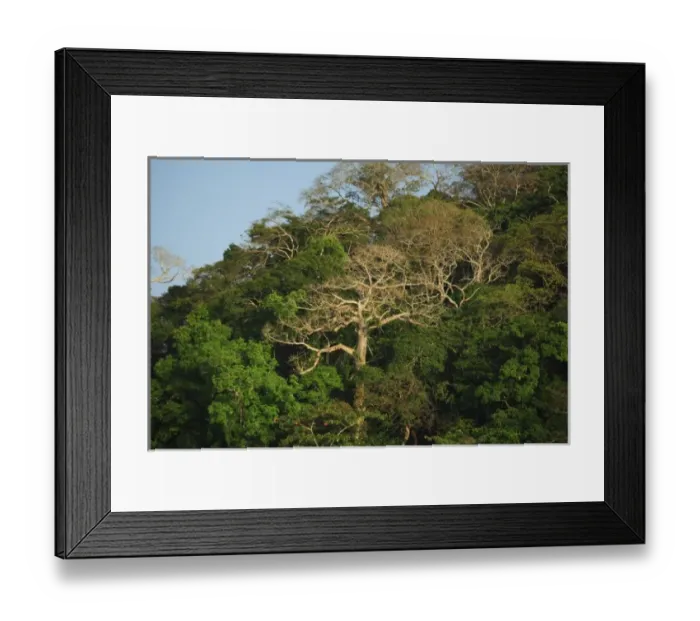 Framed Print : Central America, Panama